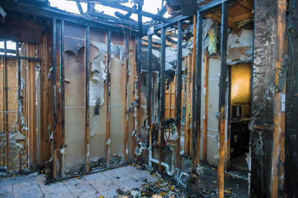 Professional Fire Damage Assessment technician working in Crestwood, MO